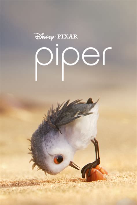 what is a piper